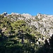 Excursión a la Sierra de Cazorla