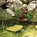 Excursión a la Sierra de Cazorla