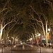 Expérience à l'Université de Provence Aix-Marseille I, France