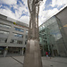 Expérience à National College of Ireland, Irlande par Léa