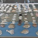 Expérience à Università degli Studi di Bari, Italie par Emanuela