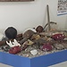 Expérience à Università degli Studi di Bari, Italie par Emanuela