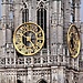 Experience in Antwerp, Belgium by Dylan