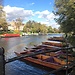 Experience in Cambridge, United Kingdom by Rebecca