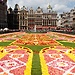 Experience in Free University of Brussels, Belgium by Patrick