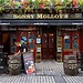 Experience in Galway, Ireland by Alice