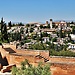 Experience in Granada, Spain by david
