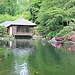 Experience in Kaiserslautern, Germany by Sarah