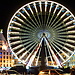 Experience in Lille, France