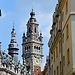 Experience in Lille, France by Caroline