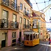 Experience in New University of Lisbon, Portugal by Maria