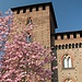 Experience in Pavia, Italy by Lara