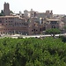 Experience in Rome, Italy by Giulia Pia