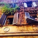 Experience in Rome, Italy by Verdiana