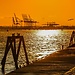 Experience in Southampton, United Kingdom by Hollie