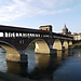 Experience in University of Pavia, Italy by Fedra Jessica