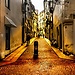 Experience in Vicenza, Italy by Paola