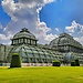 Experience in Vienna, Austria, by Jóhanna