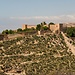 Experiencia en Almería, España de Elisa