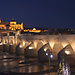 Experiencia Erasmus en Córdoba, España por Paulina