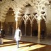 Experiencia en Zaragoza, España de Edic