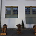 Expo "Bestiary 2.0" by Mariola Wawrzusiak scuplture