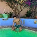Nacho Sanchez