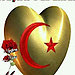 Gül Karabulut