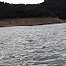 Erola
