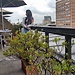 Deissy