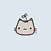 kotovitta