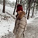 Paula