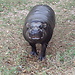 Parque natural de Cabárceno