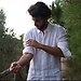 Alessandro