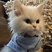 Lili