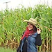 Heba