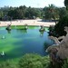Facendo dei picnic al Parco della Cittadella!