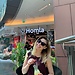 Alona