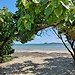 Fajardo, PR
