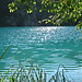 Fascinating nature at the Plitvice Lakes in Crotia