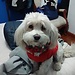 Nicolás