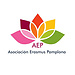 AEP Asociación Erasmus Pamplona