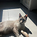 Charline