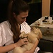 22 y.o. girl looking for an accommodation in Angers