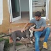 Miguel Santana