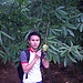 banxa