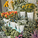 Florist's in San Francisco