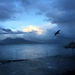 Naples