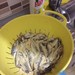 Fried Black Sea anchovy