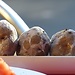 Gastronomía de Canarias
